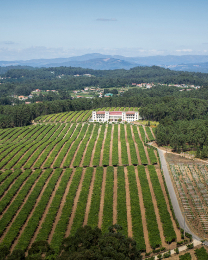 bodegas-la-val